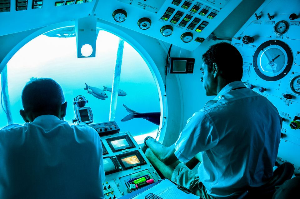 Southern Tenerife: 50-Minute Submarine Dive - Meeting at Amarilla Marina: Your First Time Check
