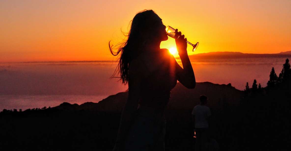 Teide National Park: Sunset & Stargazing Safari with Dinner - Coach pickup in South Tenerife: how the evening flows