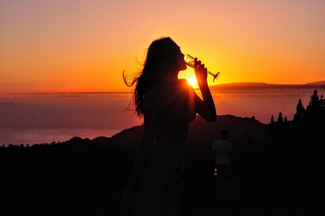 Teide National Park Sunset & Stargazing with Dinner (Star Safari) - Key highlights (quick hit list)