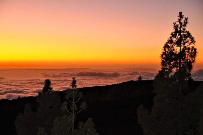 Teide National Park Sunset & Stargazing with Dinner (Star Safari) - Price and value: what $95.53 really buys you