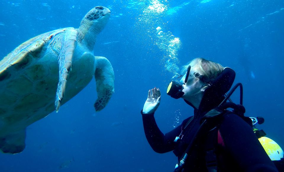 Tenerife: Beginners Scuba Dive Experience in Turtle Area - Who this is best for (and who should skip it)