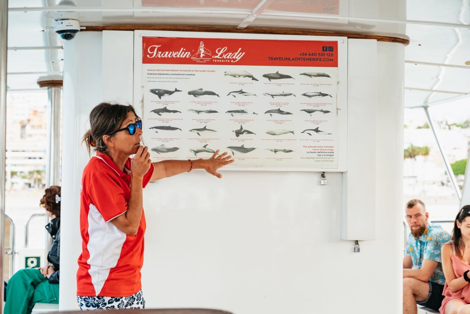 Tenerife: Eco-Yacht Whale and Dolphin Watching and Swimming - Key things to know before you go