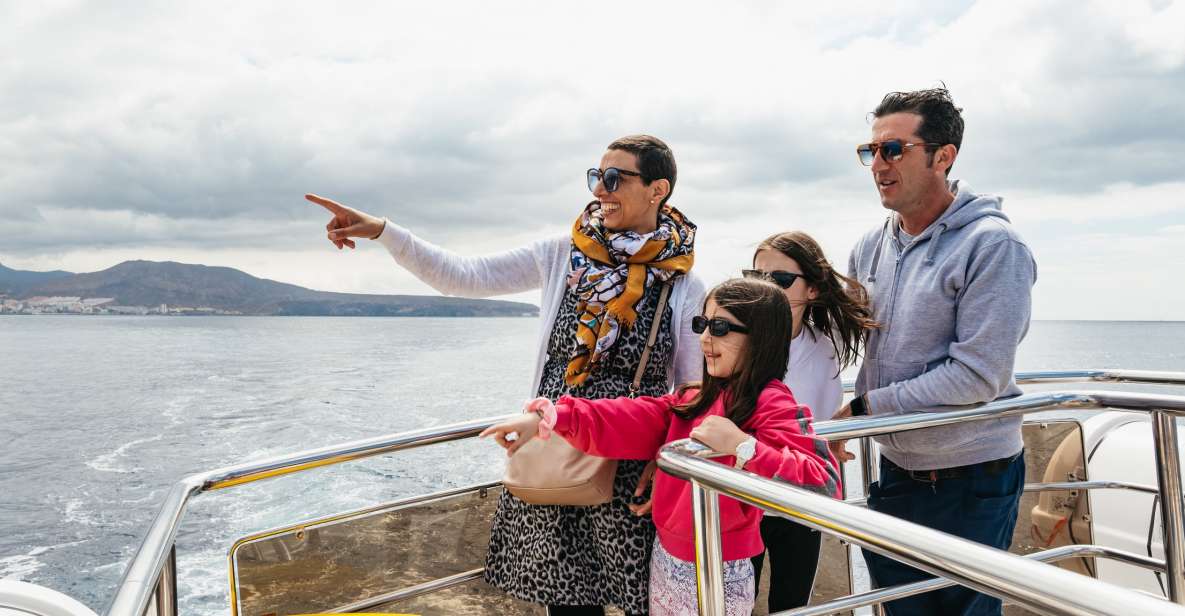 Tenerife: Eco-Yacht Whale and Dolphin Watching and Swimming - Cave of Love: how this famous coastline fits into whale watching