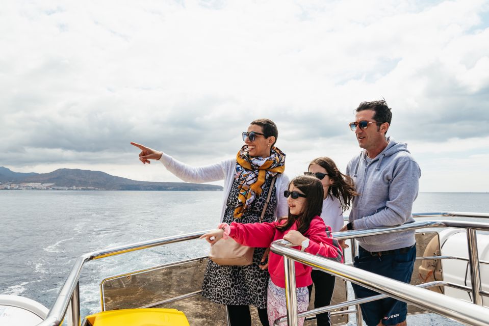 Tenerife: Eco-Yacht Whale and Dolphin Watching and Swimming - Who this tour is best for (and who should think twice)