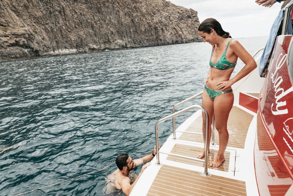 Tenerife: Eco-Yacht Whale and Dolphin Watching and Swimming - Price and value: premium wildlife watching for about $13