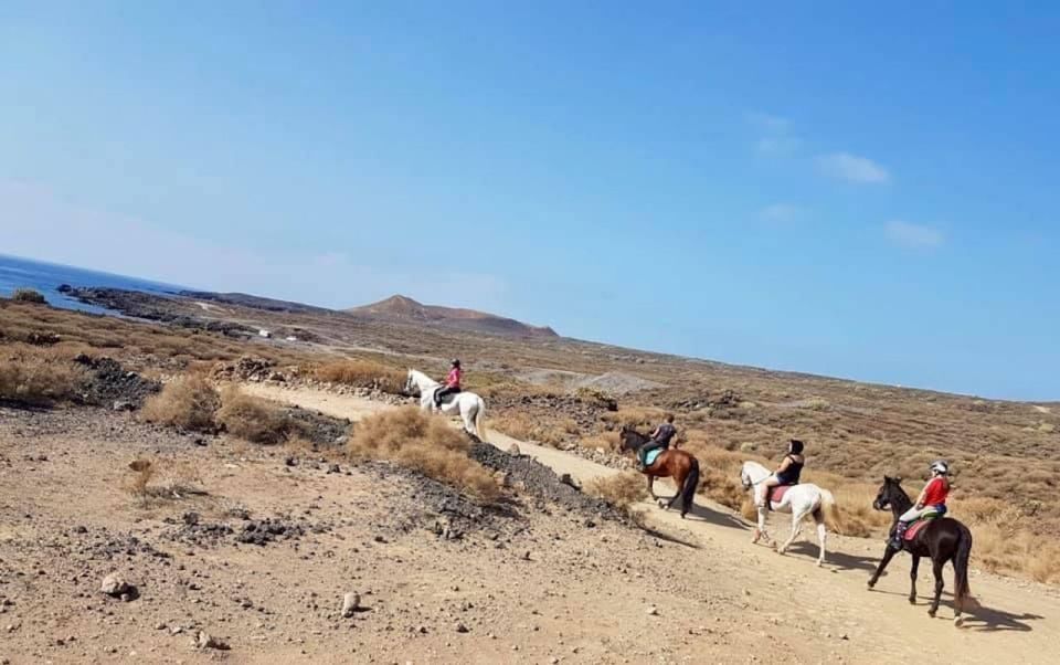 Tenerife: Horseback Ride with Instructor - Key Highlights That Make This Ride Worth It
