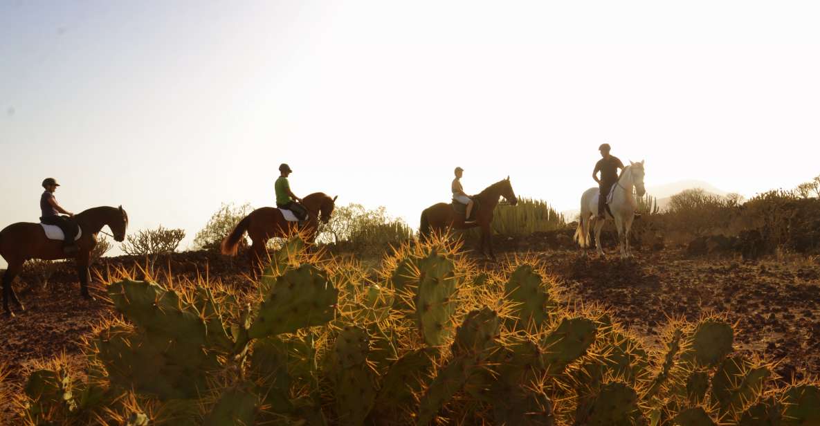 Tenerife: Horseback Ride with Instructor - Why Horseback Riding Works So Well in Southern Tenerife