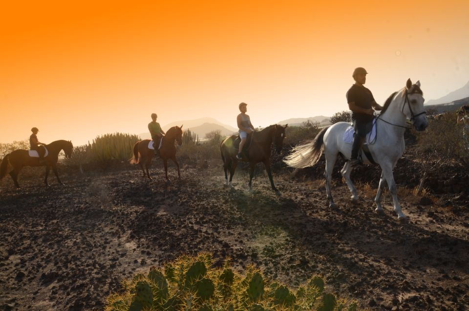 Tenerife: Horseback Ride with Instructor - What You Actually Get: Helmet, Instructor, and Horse Matching