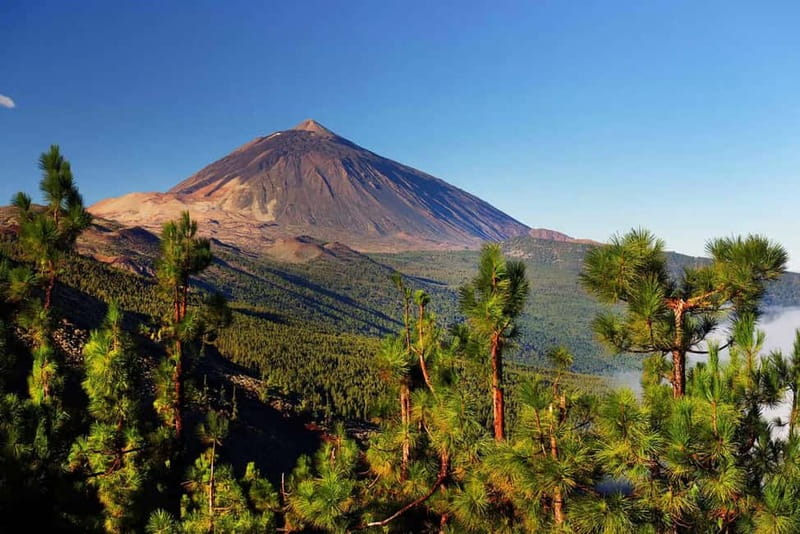 Tenerife: Jet Ski Tour with Optional Quad Trip - Key things you’ll notice on this Tenerife adventure