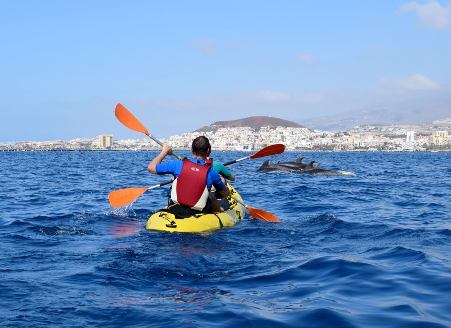 Tenerife: Kayak and Snorkel with Turtles, Wetsuits Included - FAQ