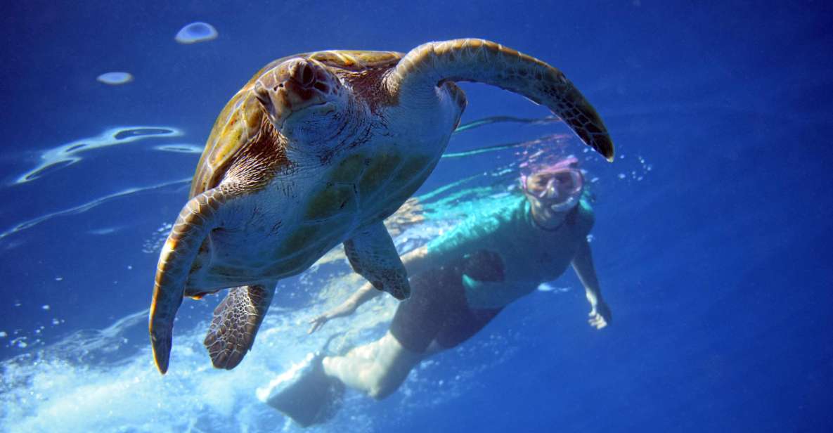 Tenerife: Kayak and Snorkel with Turtles, Wetsuits Included - Equipment details that actually affect your comfort