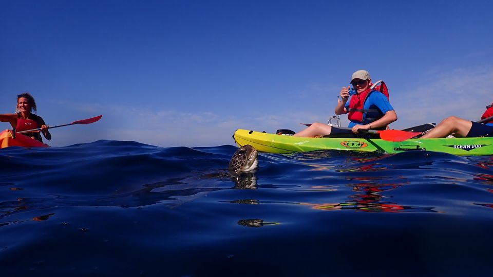 Tenerife: Kayak and Snorkel with Turtles, Wetsuits Included - Should you book this Tenerife kayaking and snorkeling tour?
