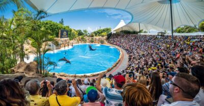 Tenerife: Loro Parque Entry Ticket - Your ticket value: what you actually get for the $52 price
