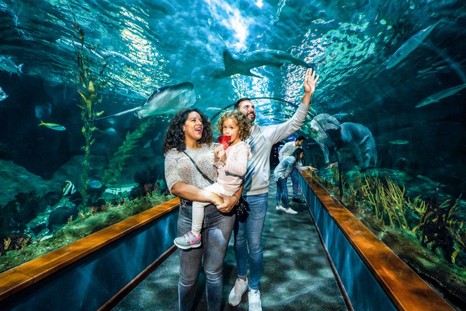 Tenerife: Loro Parque Entry Ticket - Kinderlandia: the family-friendly play zone (and when it helps)