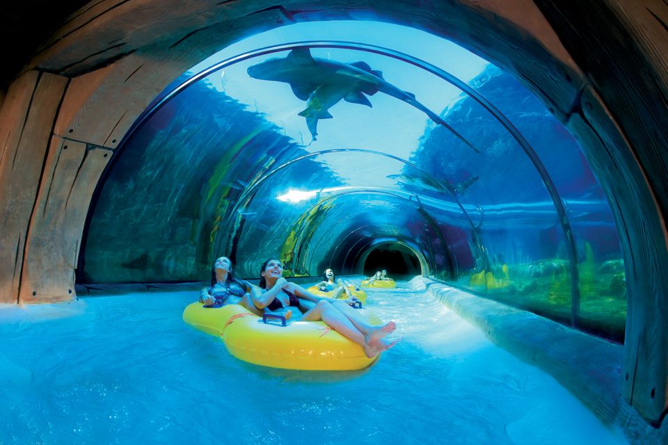 Tenerife: Loro Parque & Siam Park Entry Ticket with Transfer - Should You Book It?