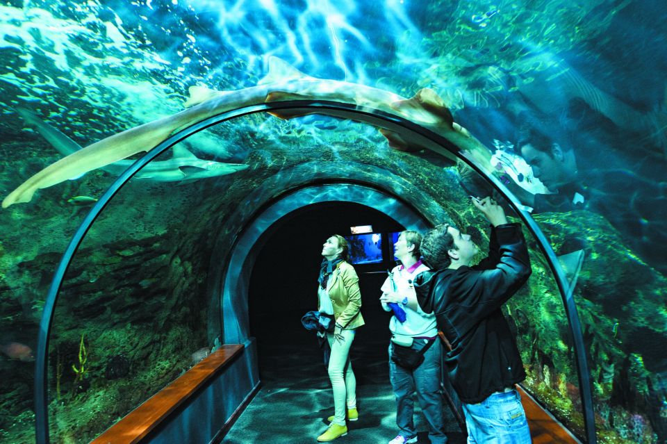 Tenerife: Loro Parque & Siam Park Entry Ticket with Transfer - What to Bring (and What Helps in the Real Heat)