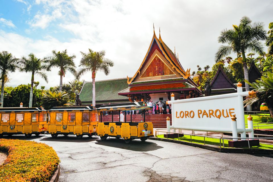 Tenerife: Loro Parque & Siam Park Entry Ticket with Transfer - Price and Value: Why $115 Can Make Sense