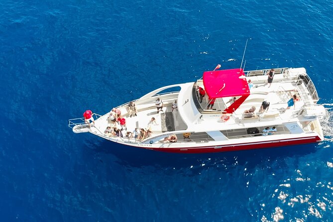 Tenerife Los Cristianos: Whale and Dolphin Eco-Yacht and Swim Stop - Setting Sail From Los Cristianos: Fast Check-In, Real Ocean Time