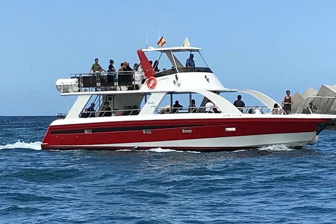 Tenerife Los Cristianos: Whale and Dolphin Eco-Yacht and Swim Stop - How Close Is Close (Without Ruining It)?