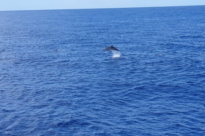 Tenerife Los Cristianos: Whale and Dolphin Eco-Yacht and Swim Stop - Low-Gravity Yacht Comfort: Helpful for Motion, Not Magic