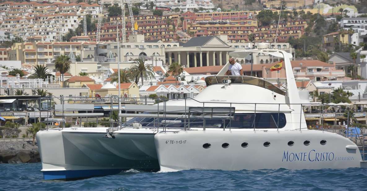 Tenerife: Marine-Life Tour with Transfer, Buffet and Drinks - From Your Hotel to Dock #6: How the Timing Works
