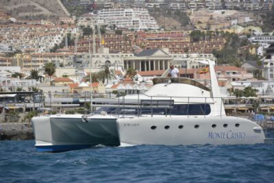 Tenerife: Marine-Life Tour with Transfer, Buffet and Drinks - The Catamaran Cruise: What Whale and Dolphin Spotting Feels Like