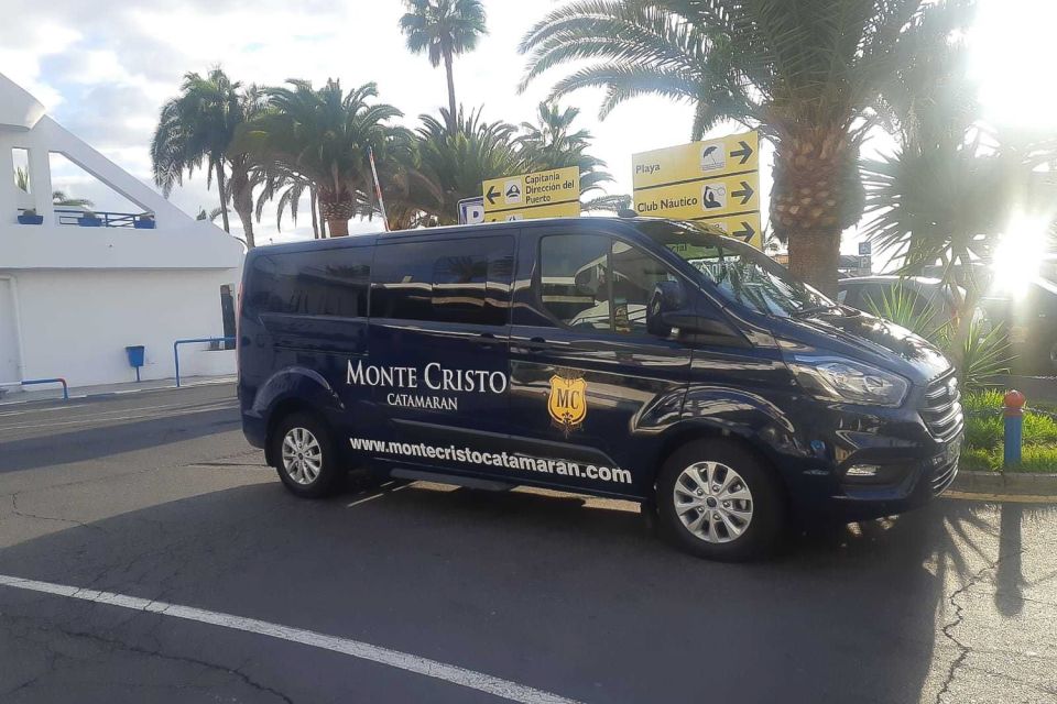 Tenerife: Marine-Life Tour with Transfer, Buffet and Drinks - Why the Boat Size Matters (More Than You’d Think)