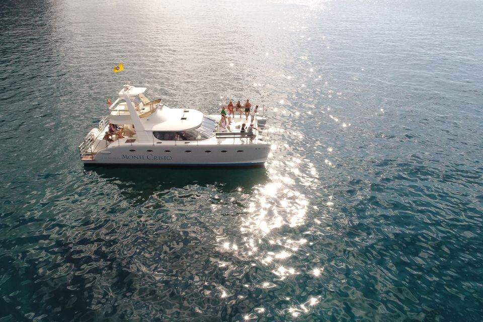 Tenerife: Marine-Life Tour with Transfer, Buffet and Drinks - Transfers, Meeting Point, and Parking: Simple Tips