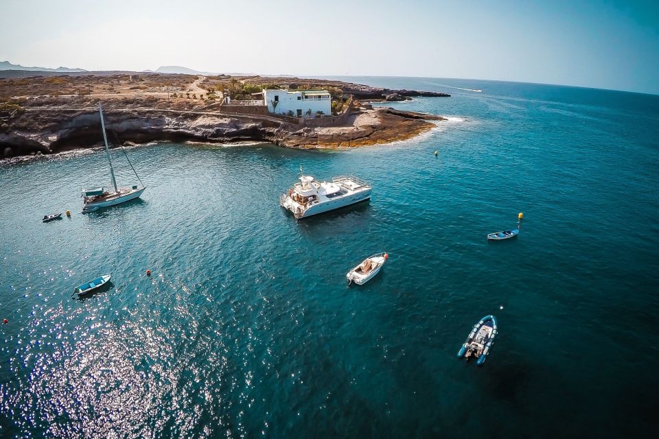 Tenerife: Marine-Life Tour with Transfer, Buffet and Drinks - Who Should Book This Marine-Life Cruise
