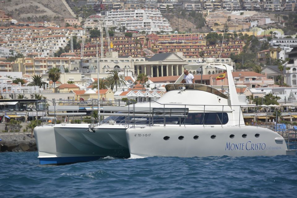 Tenerife: Marine-Life Tour with Transfer, Buffet and Drinks - The Catamaran Cruise: What Whale and Dolphin Spotting Feels Like