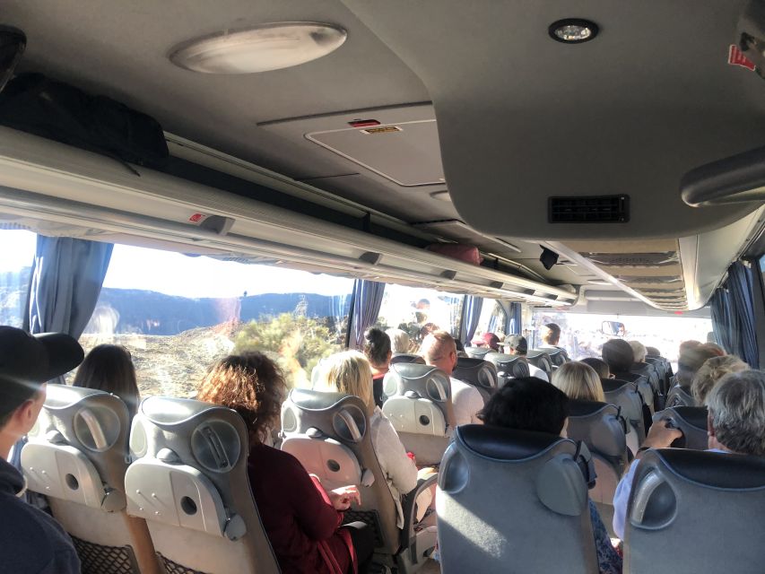 Tenerife: Mount Teide, Masca, Icod and Garachico Day Trip - Icod de los Vinos and the Dragon Tree: a quick, iconic stop