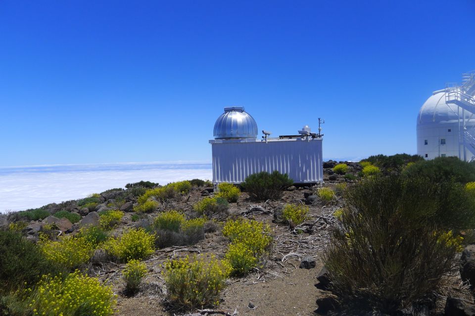 Tenerife: Mount Teide Observatory Guided Tour - Price and Value: What $25 Buys in 90 Minutes