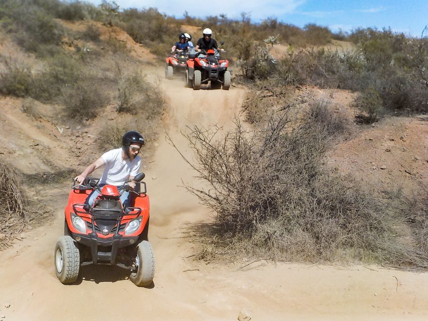 Tenerife: Quad Adventure Tour in Teide National Park - Pricing and Value: Is $94 Worth It?