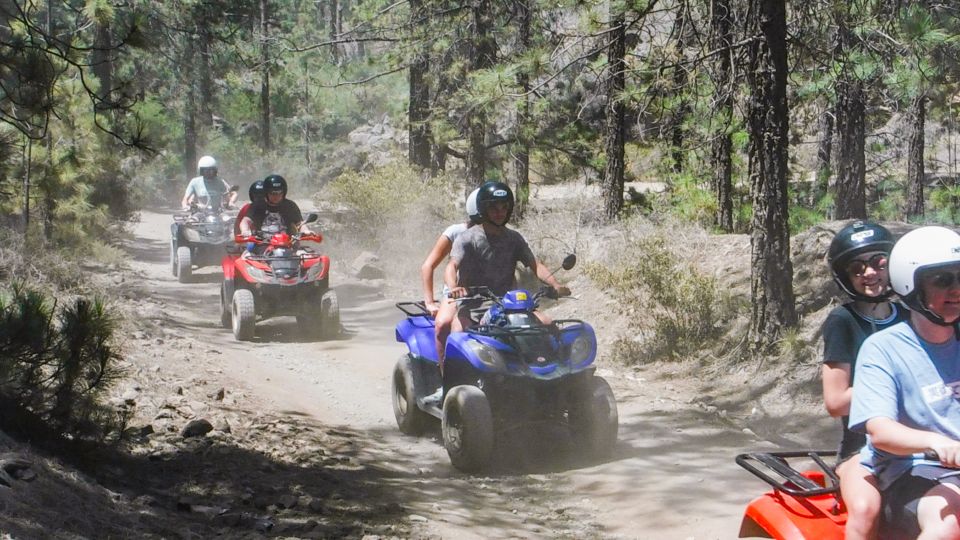 Tenerife: Quad Adventure Tour in Teide National Park - Who Should Book This Quad Adventure (and Who Should Skip It)