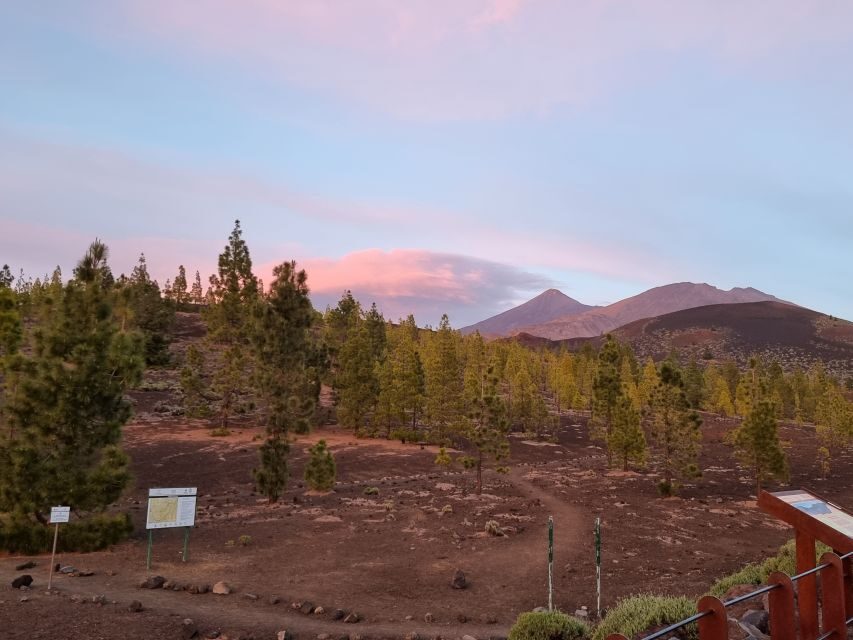 Tenerife: Sunset and Stargazing at Teide National Park - The telescope time: what you can realistically spot