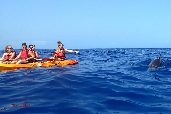 Tenerife: Turtle & Dolphin Kayak Tour with Snorkel & Wetsuit - First-Timer Kayaking: Instruction, Breaks, and Real Cardio