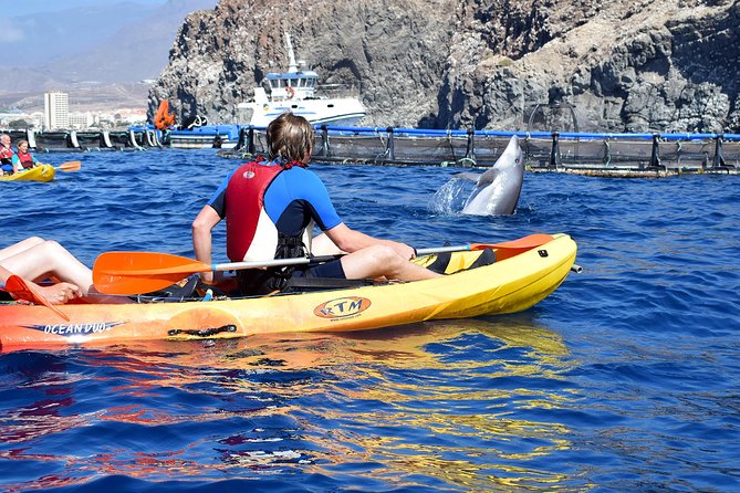 Tenerife: Turtle & Dolphin Kayak Tour with Snorkel & Wetsuit - Snorkel Interlude: Gear, Water Clarity, and Staying Comfortable