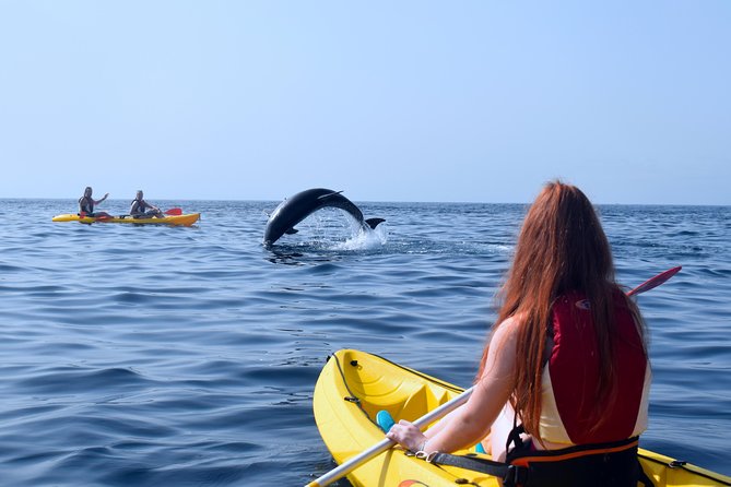 Tenerife: Turtle & Dolphin Kayak Tour with Snorkel & Wetsuit - What to Bring (and What’s Missing)