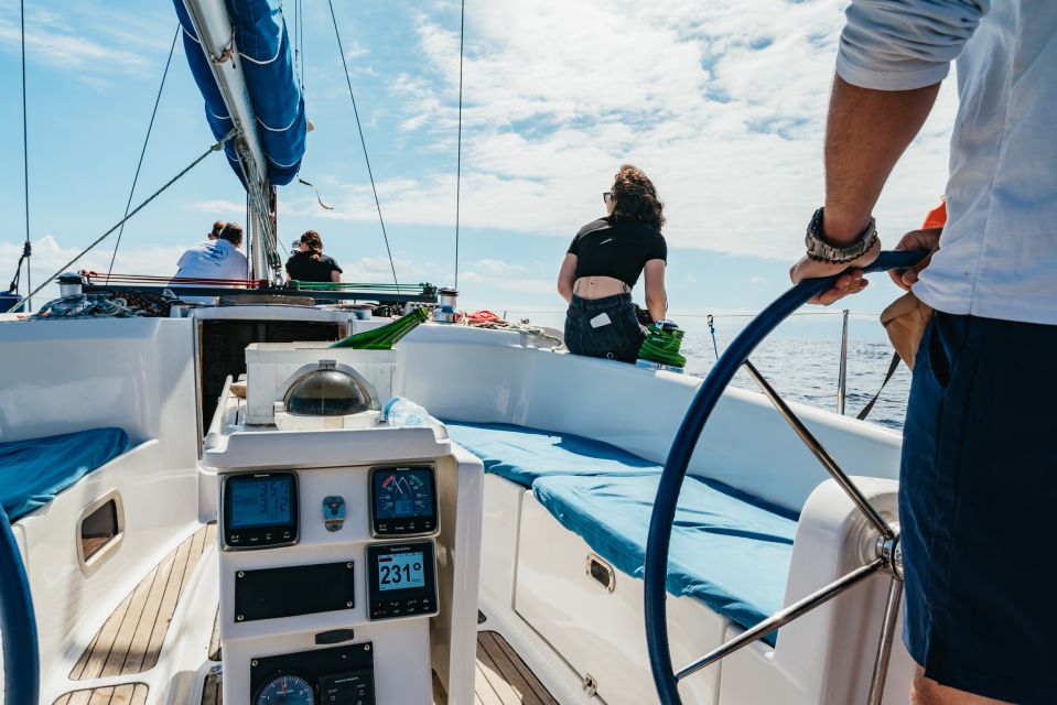 Tenerife: Whale & Dolphin Watching with Drinks and Snacks - The full 3 hours: how the day flows without feeling rushed