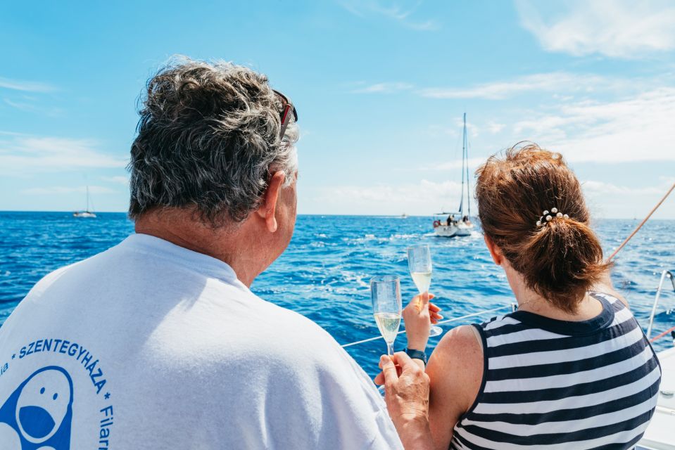 Tenerife: Whale & Dolphin Watching with Drinks and Snacks - What you’ll actually do onboard (beyond seeing animals)