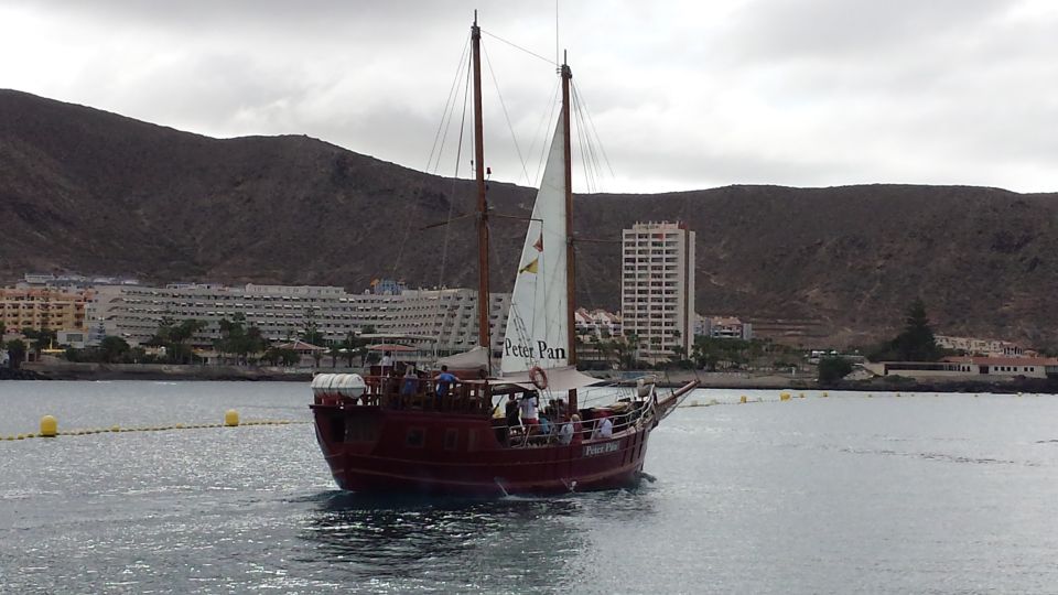 Tenerife:Respectful Whale Watching, Pirate Ship, & Swim - Key things that make this cruise worth your time