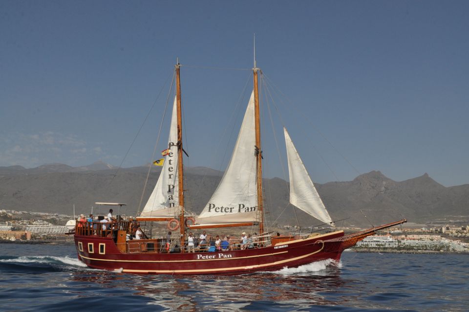 Tenerife:Respectful Whale Watching, Pirate Ship, & Swim - Price and value: why $17 can feel like a bargain here
