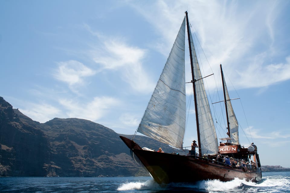 Tenerife:Respectful Whale Watching, Pirate Ship, & Swim - Who this tour suits (and who should rethink it)