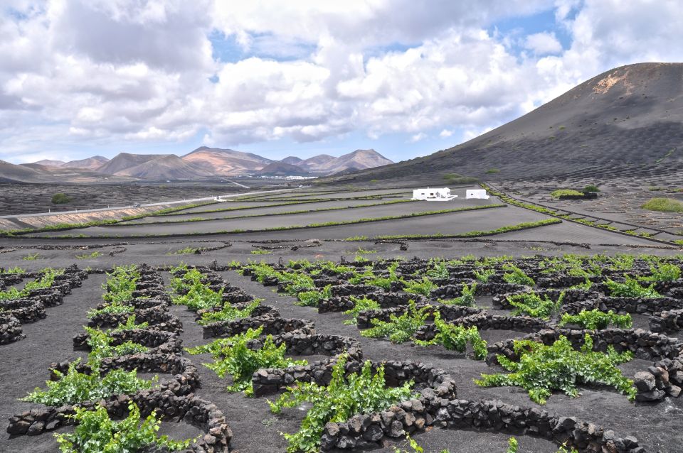 Timanfaya And El Golfo For Cruise Passengers (Mornings) - Key Things to Know Before You Go