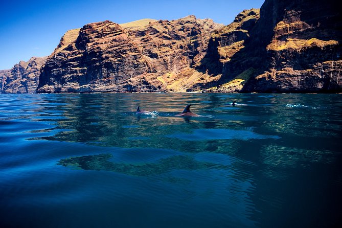 Whale watching and listening Eco-Catamaran Tour with Food Tasting - Boat Comfort, Crowding, and What to Do With Your Body