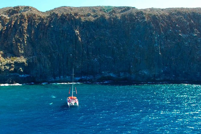 Whale watching and listening Eco-Catamaran Tour with Food Tasting - Price and Value: What $48.37 Buys on This Tenerife Whale Trip